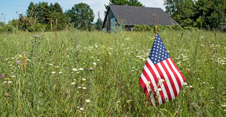 Lawn Gone Liberty: Exposing Abuse of Government Fines