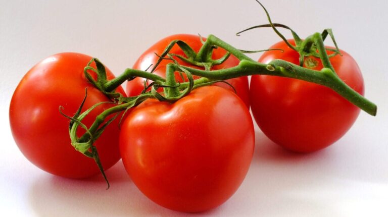 When Tomatoes Became Veggies: 19th-Century SCOTUS Tariff Ruling Hints at the Questions the Court May Soon Face