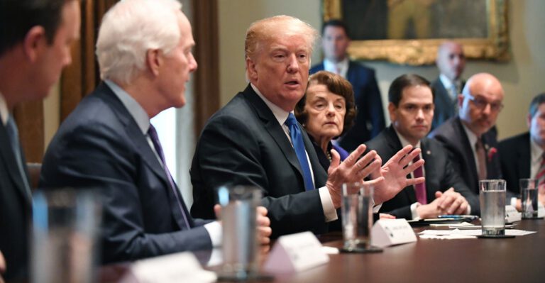 Trump Considers Raising Age for Buying AR-15, Touts Tougher Background Checks
