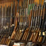 Second Amendment Rights During Coronavirus Pandemic