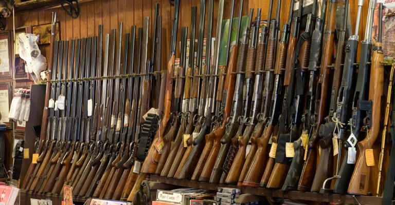 Second Amendment Rights During Coronavirus Pandemic
