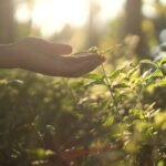 New Data Bucks Conventional Wisdom on Free Markets and the Environment