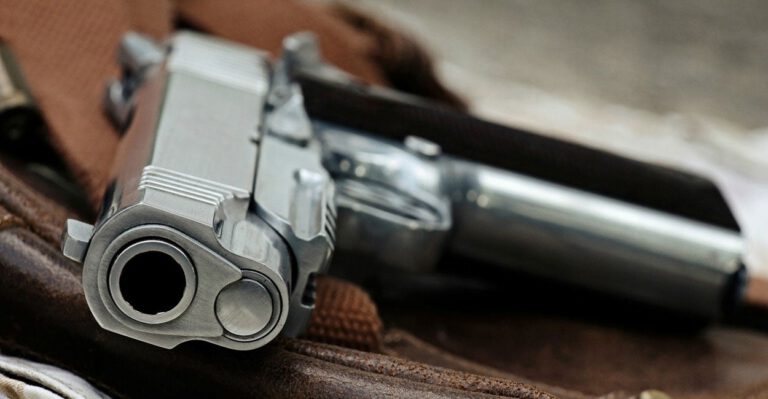 ACLU Goes Soft on First Amendment Rights of Gun Carriers