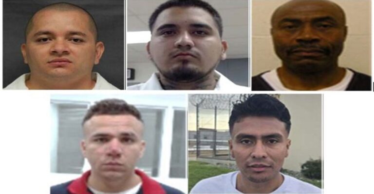 EXCLUSIVE: ICE Arrests Continue Following Dallas Shooting