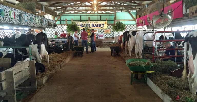 At This Ohio County Fair, Contempt for Washington