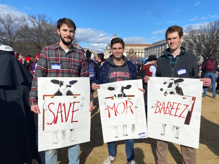 47 of the Best Signs From the First Post-Roe March for Life