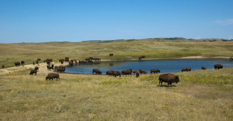 Federal Government Continues to Give Native American Tribes a Bad Deal