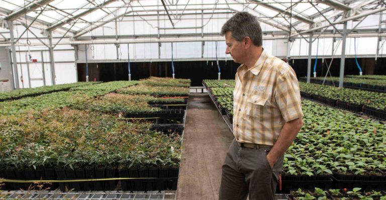 Farmer Faces Multimillion-Dollar Fine for Plowing Fields Without Government’s Permission