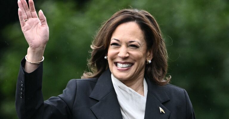 Likely Harris Nomination Dampens Enthusiasm of Swing State Dems