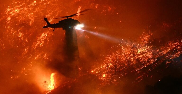 To Stop Wildfires, Burn Wokeism