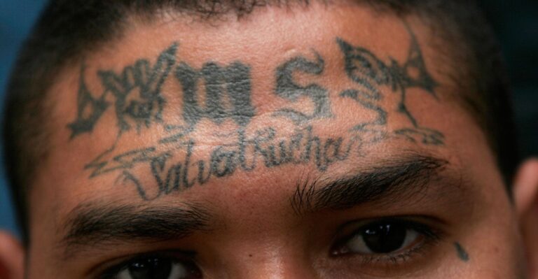 Trump Has Vowed to Eradicate MS-13. What You Need to Know About the Gang.