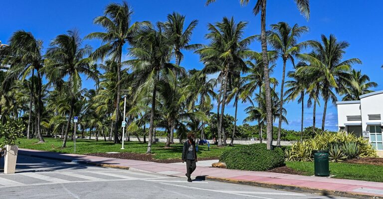 Miami Aims for ‘Functional Zero’ Homeless Population. Mayor Francis Suarez Explains How.