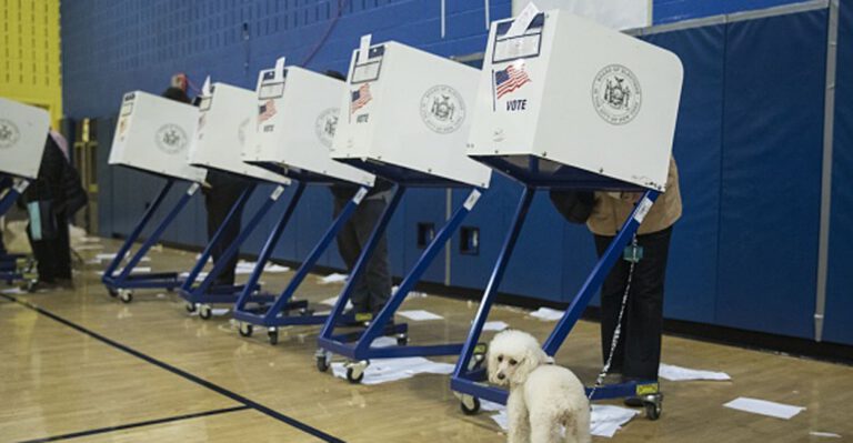 Elections Watchdog Seeks Answers in Michigan Voter Fraud Case