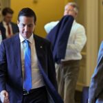 Ohio Republican Releases Plan to End Dual Citizenship