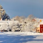 In a Harsh New Hampshire Winter, Passage of Education Savings Accounts Is a Breath of Spring