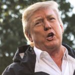 Trump Ready to Sign House-Passed Ban of Abortions After 20 Weeks