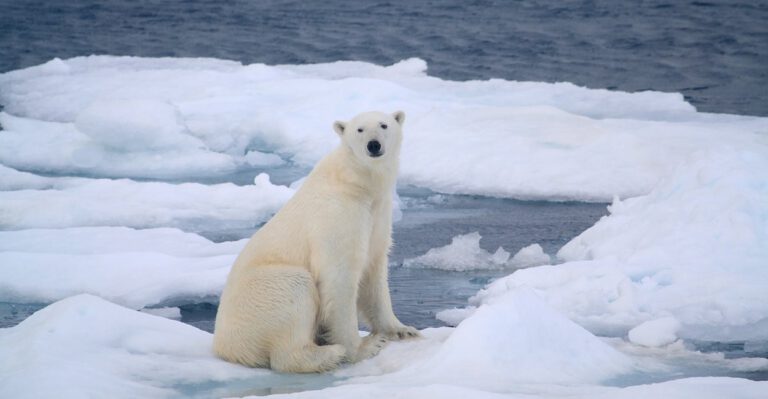 Why Progressive Activists Want to Silence the Truth About Climate Change
