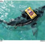 Cartoon: Congress Ignores Illegal Immigration at Its Peril