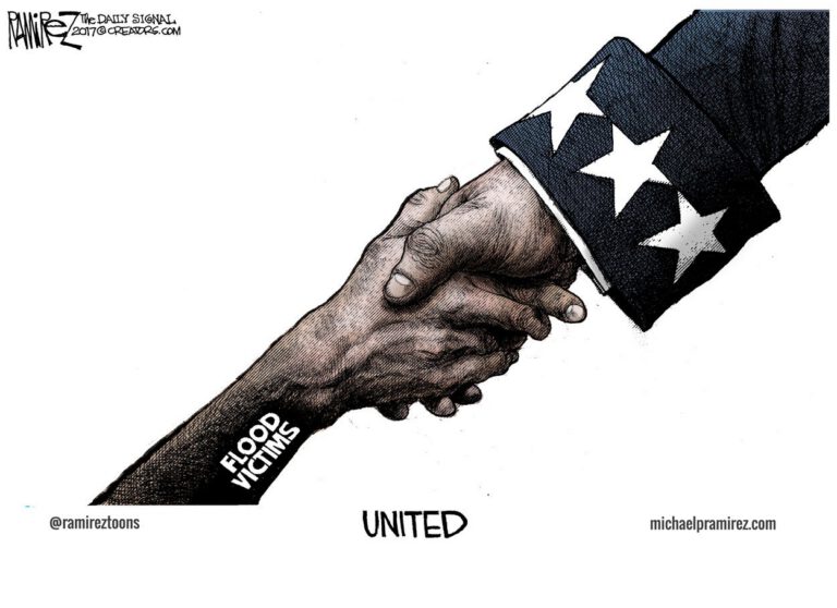 Cartoon: United