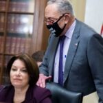 8 Takeaways as Senate Panel Deadlocks on Bill to Nationalize Elections, Nullify Voter ID