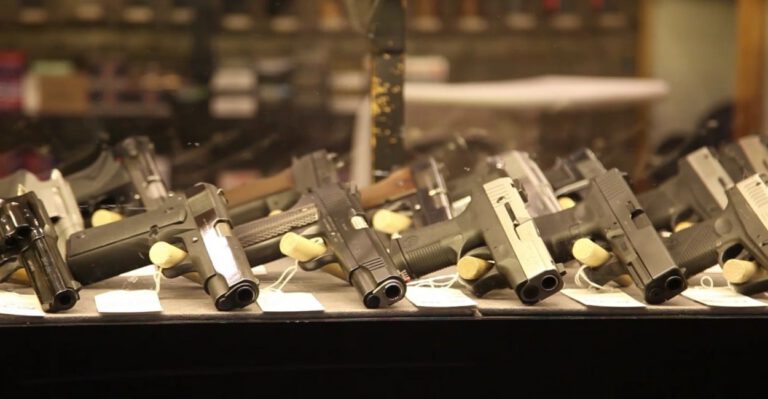 Obama Claimed It’s Easier in Some Neighborhoods to Get a Gun Than a Book. Here Are the Facts.