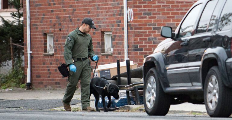 The Diversity Visa Is Bad, but the Real Problem Is Homegrown Terrorism