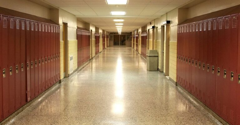 The Consequences of Immigration for America’s Public Schools