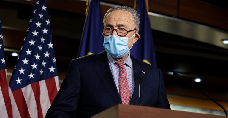 Schumer Calls for DC Rioters to Be Placed on No-Fly List