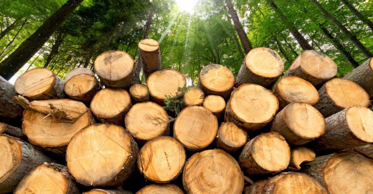 Tariffs on Canadian Lumber Are Hurting American Homebuyers