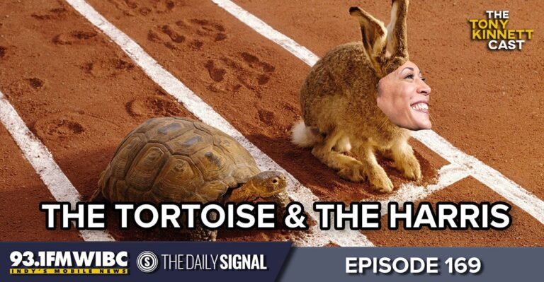 WATCH: The Tortoise and the Harris