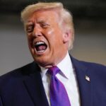 Trump Has a New Plan to Solve Homeland Security, Voter ID Disputes