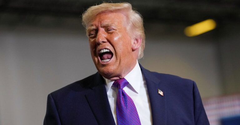 Trump Has a New Plan to Solve Homeland Security, Voter ID Disputes
