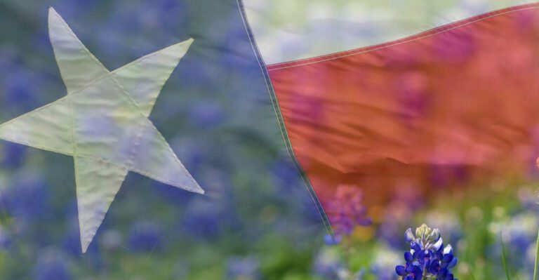 In Texas, State Leaders Attack Local Governments for Going Big on Regulations