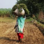 Foreign Aid Is Not the Answer to Global Poverty. Look to Freedom.