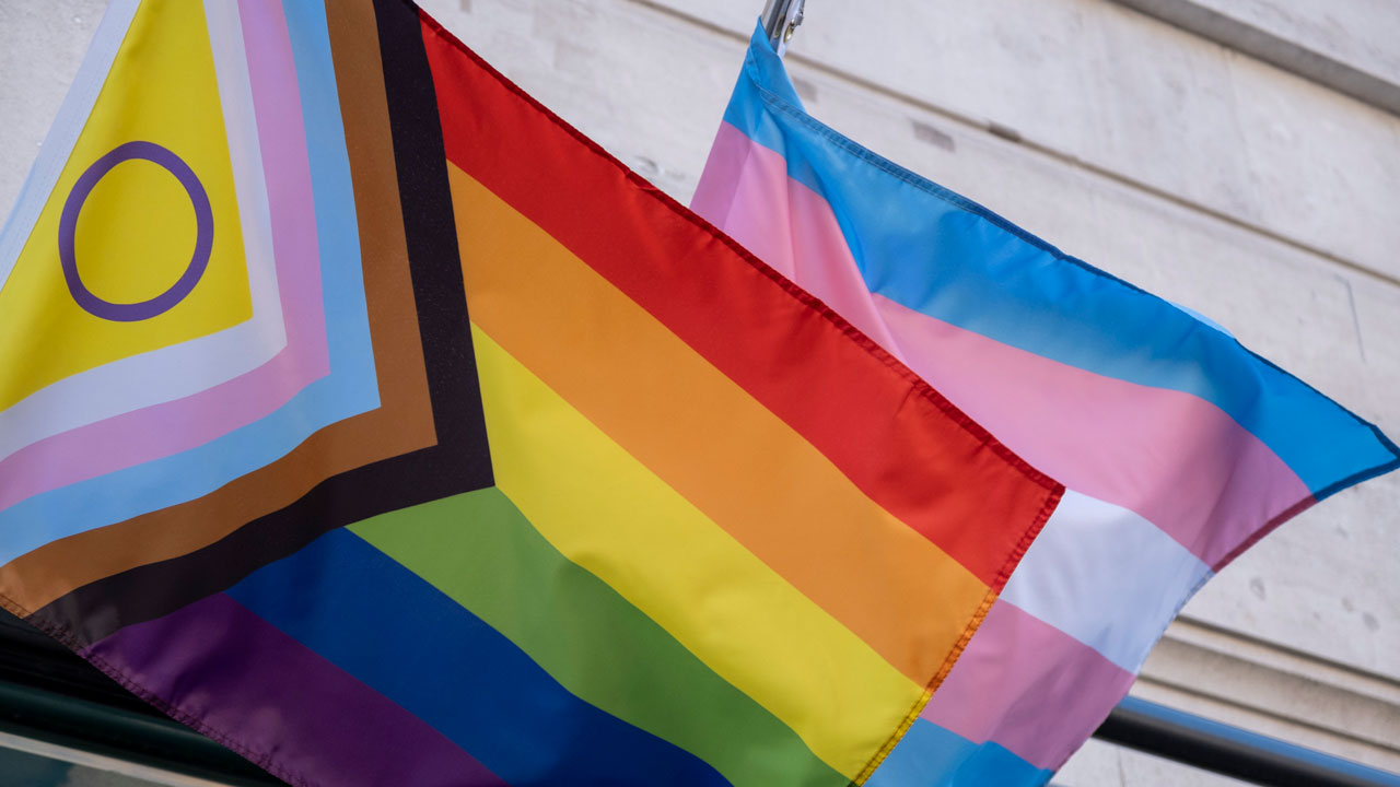 Transgender flags.