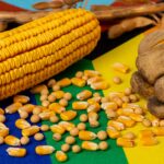 EXCLUSIVE: Biden Admin Adds LGBTQ Strings to Foreign Agriculture Grants