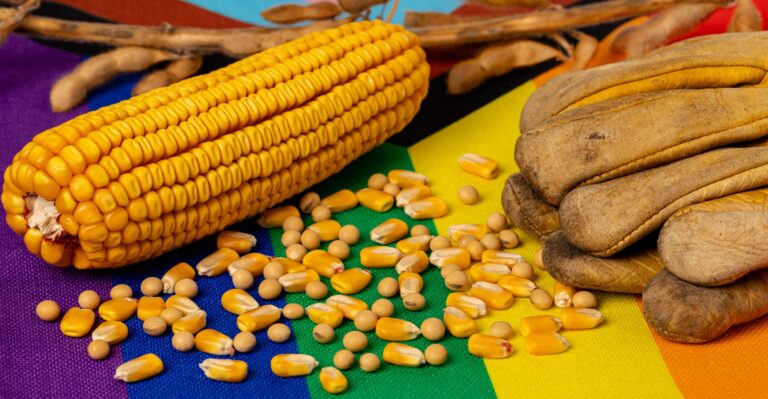 EXCLUSIVE: Biden Admin Adds LGBTQ Strings to Foreign Agriculture Grants