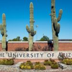 Empathize With Insects? University of Arizona DEI Urges Students to Treat Bugs Like ‘Marginalized’ Groups