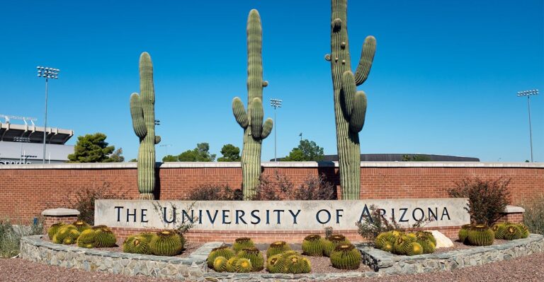 Empathize With Insects? University of Arizona DEI Urges Students to Treat Bugs Like ‘Marginalized’ Groups