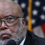 Dems Try to Remove GOP Witness Criticizing Left’s Attacks on ICE Agents at Hearing