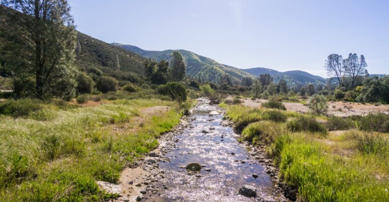 Supreme Court Can and Should Resolve ‘Waters of the United States’ Issue