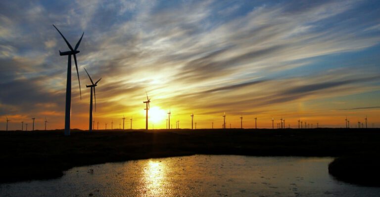 End Wind Welfare