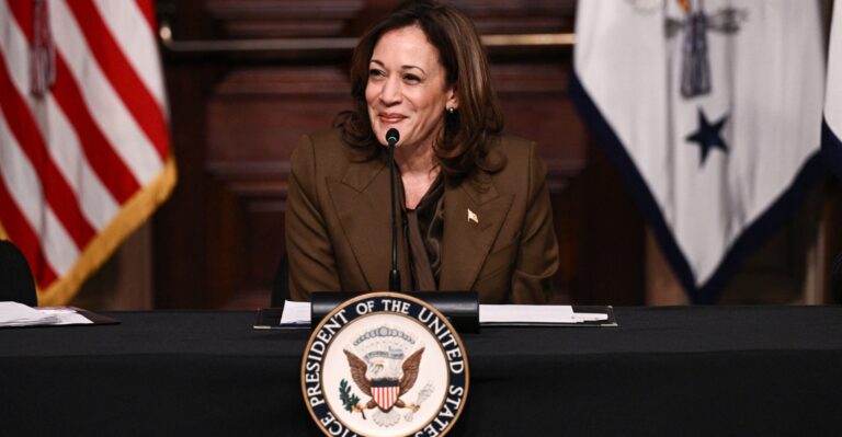 EXCLUSIVE: Left-Wing Group Pushed a Policy That Could Shape 2024 Election Outcome—Using Your Tax Dollars