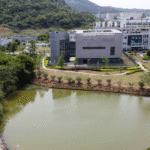 NIH Gave Millions to Chinese Entities to Study Infectious Diseases