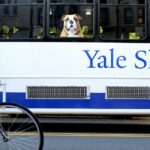 Judges Fighting Yale Law School Show They Know 'What Time It Is' in America