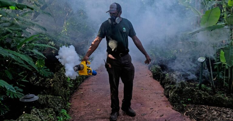 Anti-GMO Activists Fight Plan That Could Dramatically Reduce Zika Cases