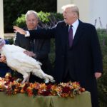 In a Turkey Day 'Recount,' Trump Pardons Both Peas and Carrots