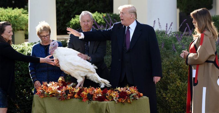 In a Turkey Day ‘Recount,’ Trump Pardons Both Peas and Carrots