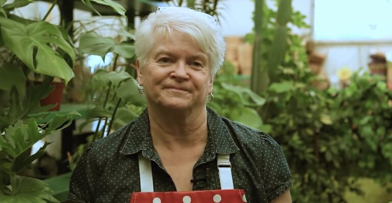 Great-Grandma Florist Could Lose Livelihood for Saying No to This Wedding