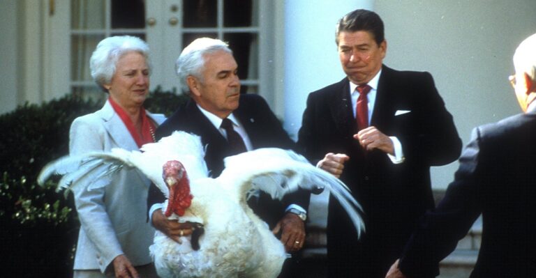 How the Presidential Turkey Pardon Became a White House Tradition